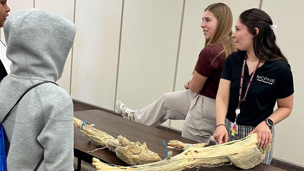Physical therapy students show a cadaver leg to sixth-graders from the Jacob Hiatt Magnet School in Worcester.