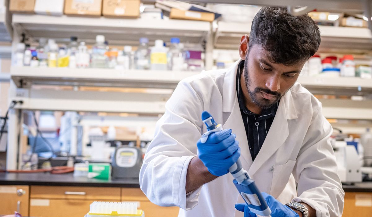 Male student in a white lab coat working in a lab. 