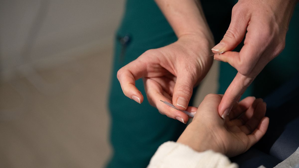 Students and faculty collaborating in the NESA acupuncture clinic on the MCPHS Worcester campus. 
