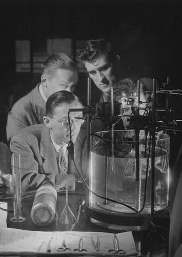 MCPHS students in the 1940s in a chemistry lab.