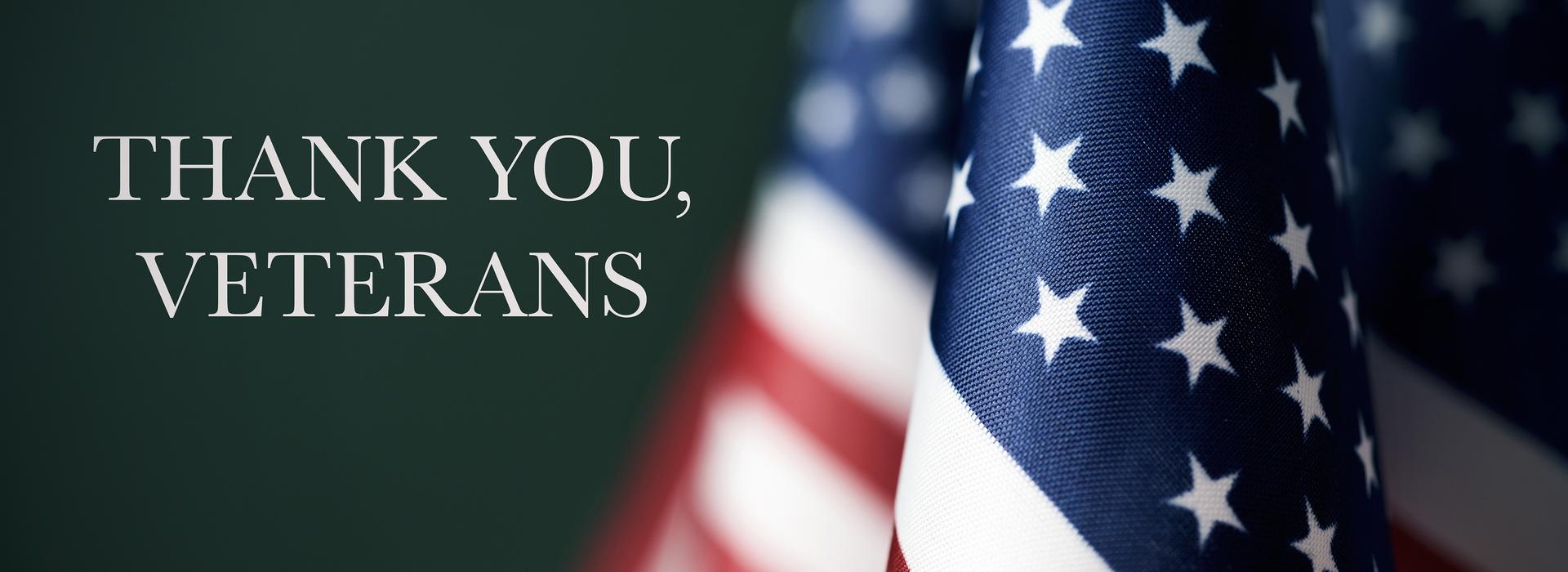 American Flag Veterans day thank you