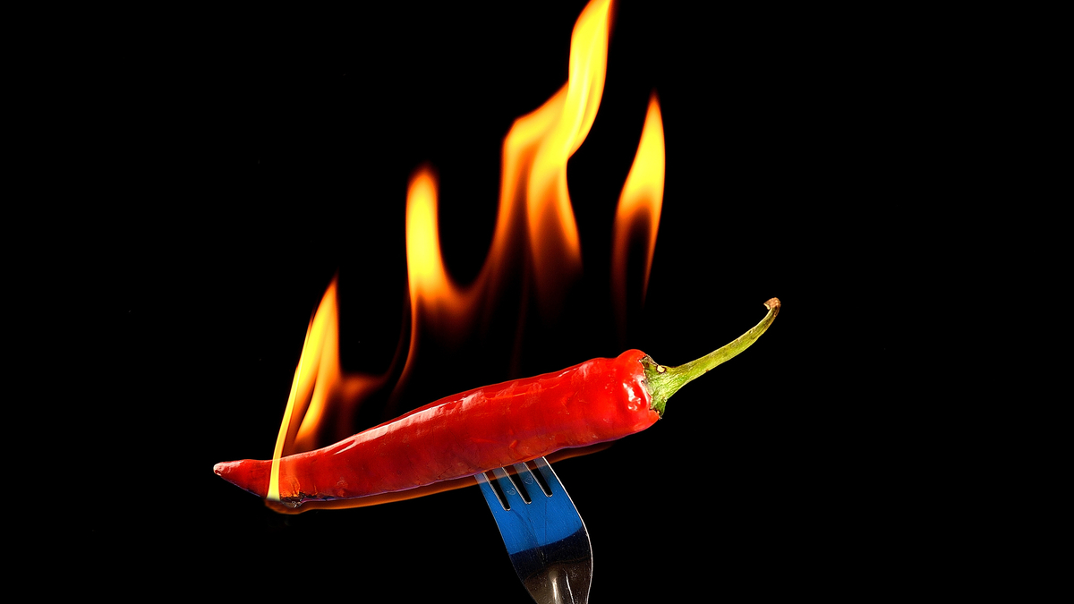 Chile pepper on fire on a fork. 