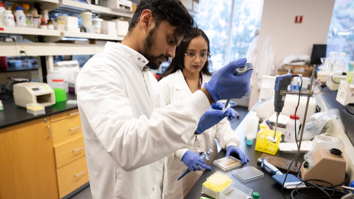 Male and female student in the chemistry lab. 