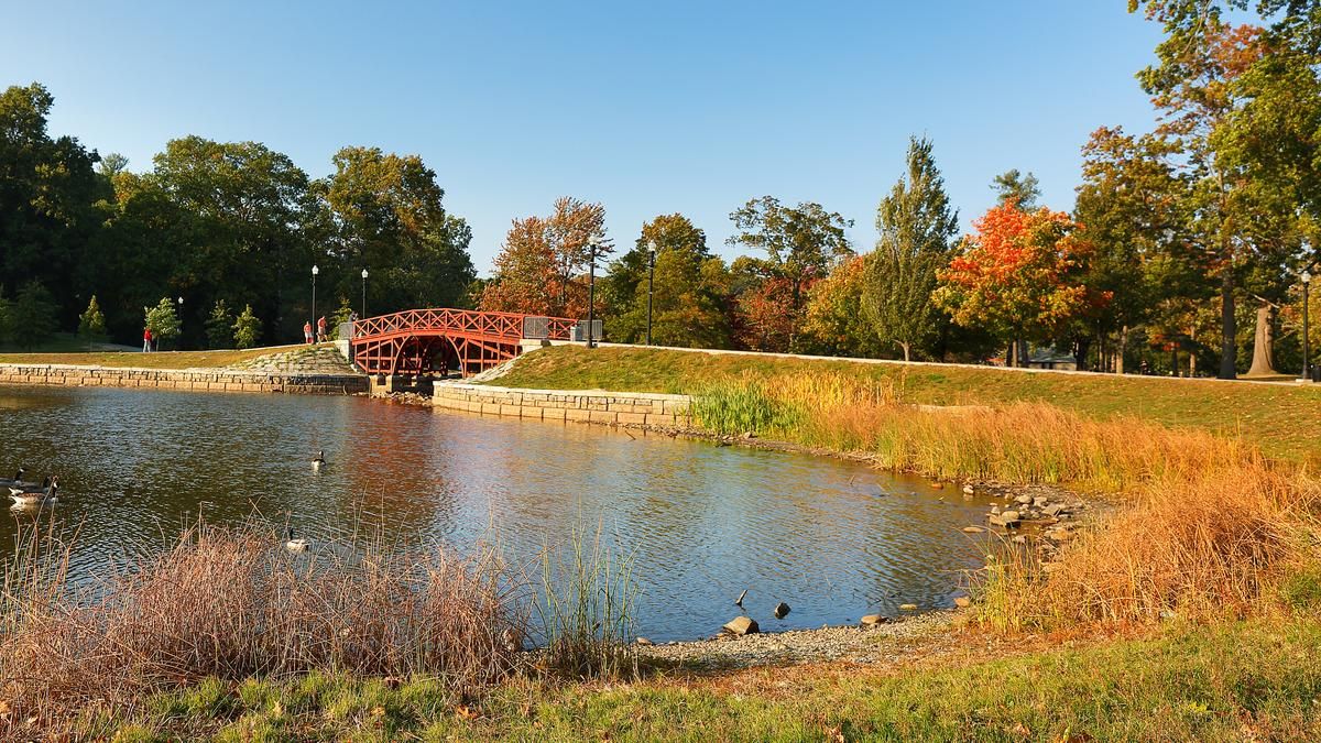 Fall foliage in Elm Park in Worcester, Massachusetts