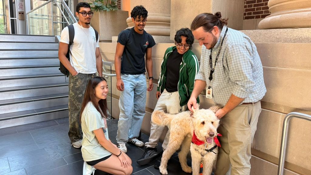 Students pet MCPHS's therapy dog, Woodman.