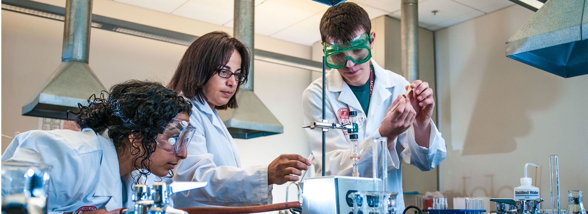 Students in a laboratory