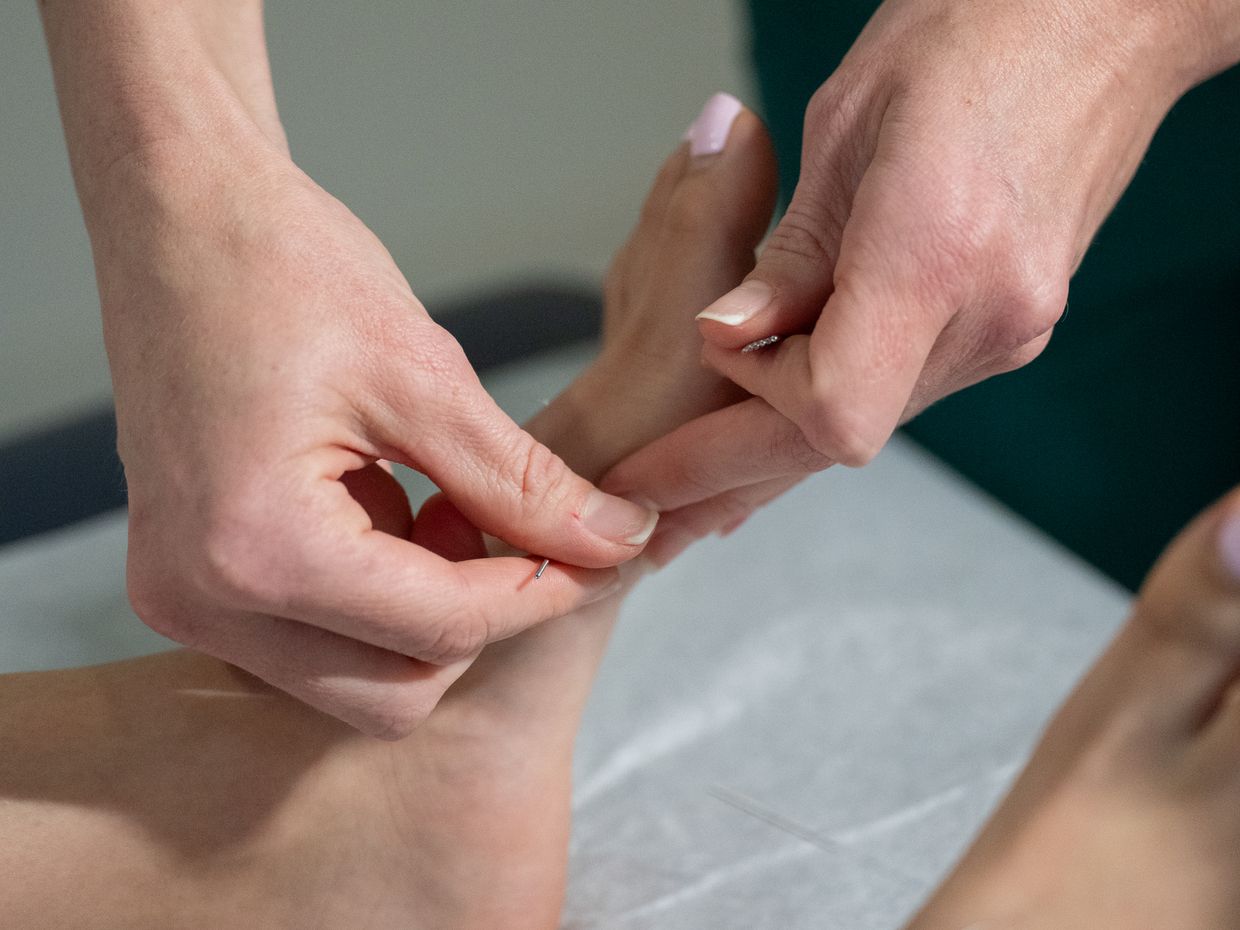 Students and faculty collaborating in the NESA acupuncture clinic on the MCPHS Worcester campus. 