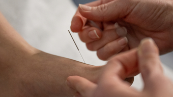 Students and faculty collaborating in the NESA acupuncture clinic on the MCPHS Worcester campus. 