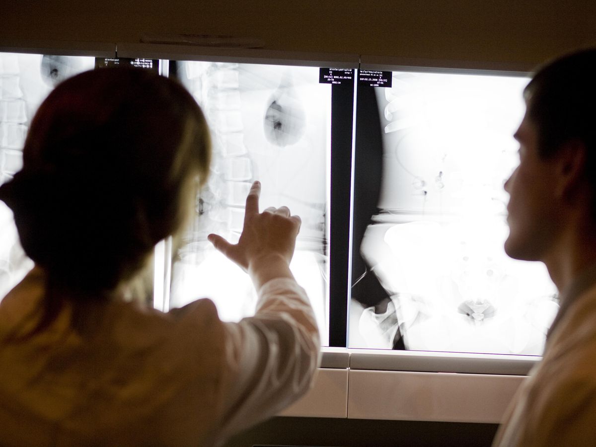 MCPHS students looking at an x-ray. 
