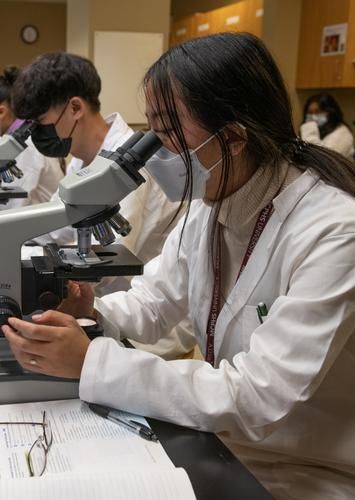 MCPHS students in a chemistry lab. 