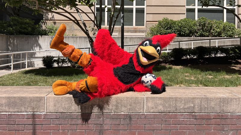 MCPHS mascot, Red the Cardinal, holds a soccer ball.