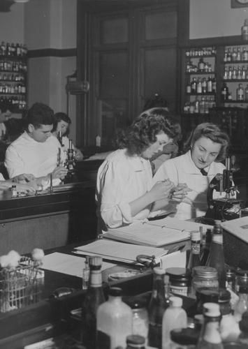 Students in an MCPHS lab.