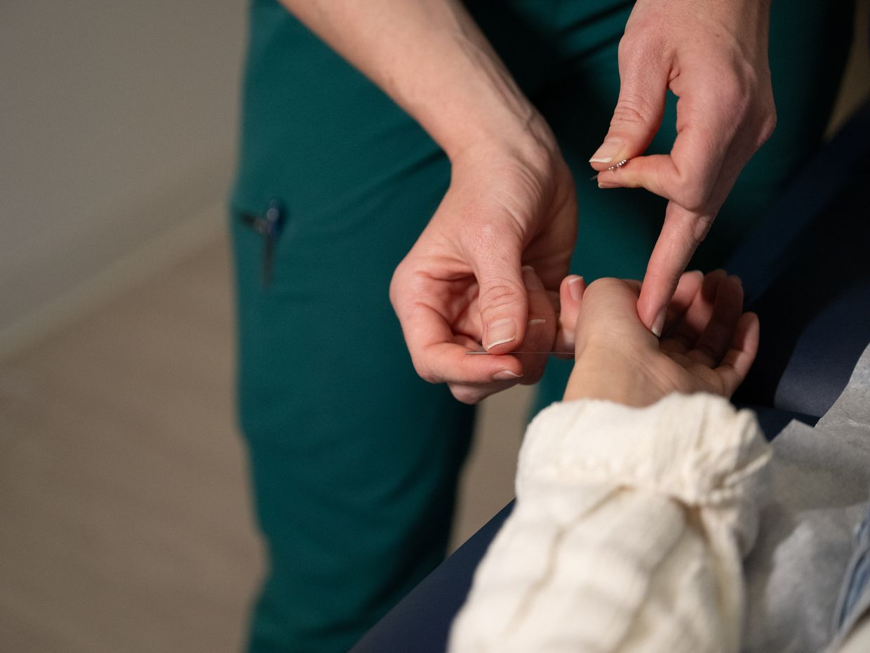 Students and faculty collaborating in the NESA acupuncture clinic on the MCPHS Worcester campus. 