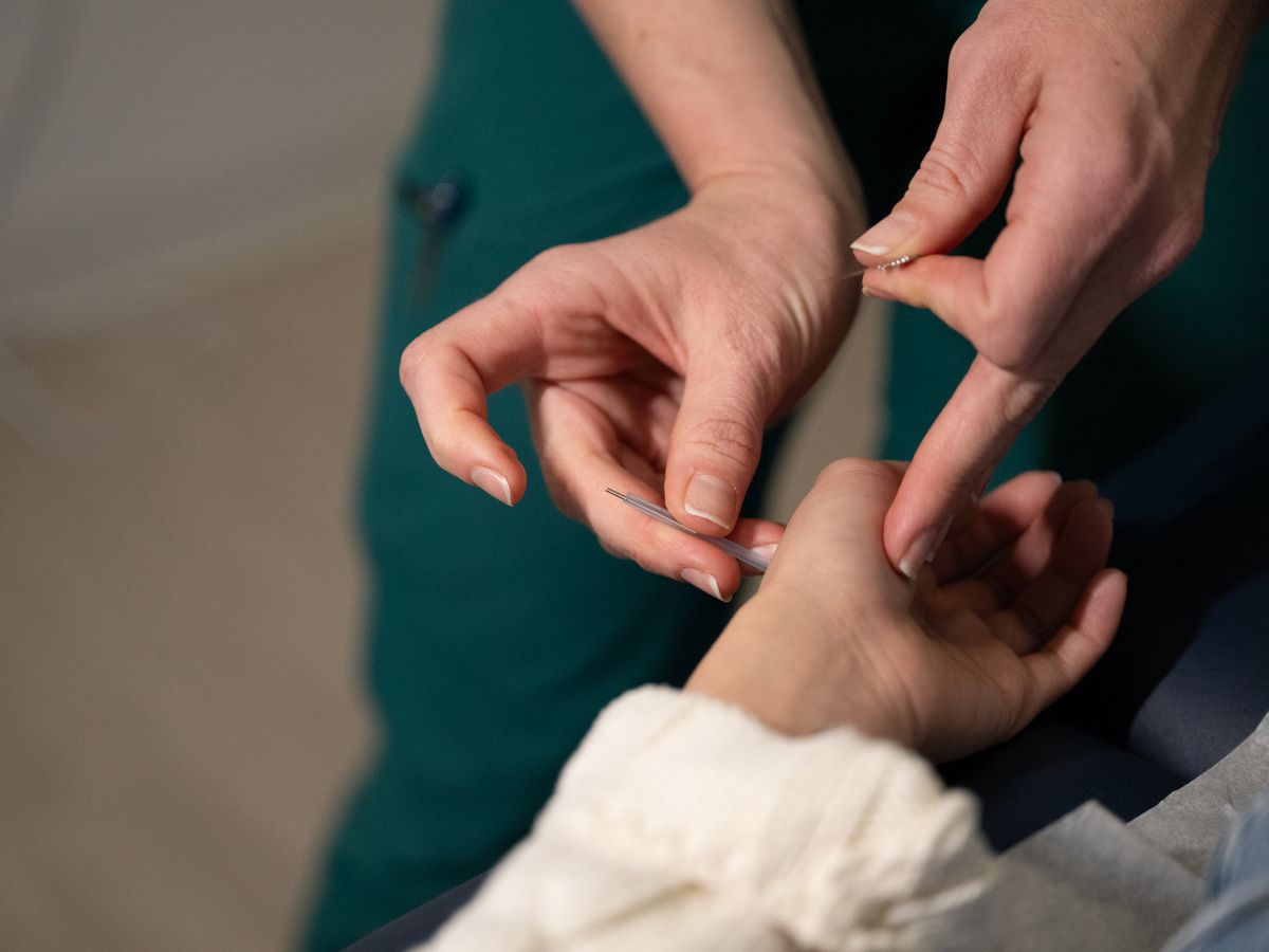 Students and faculty collaborating in the NESA acupuncture clinic on the MCPHS Worcester campus. 