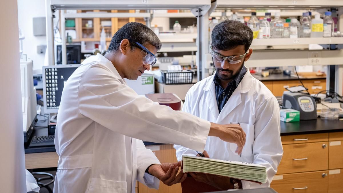 Male professor and male student in a chemistry lab looking at a book. 