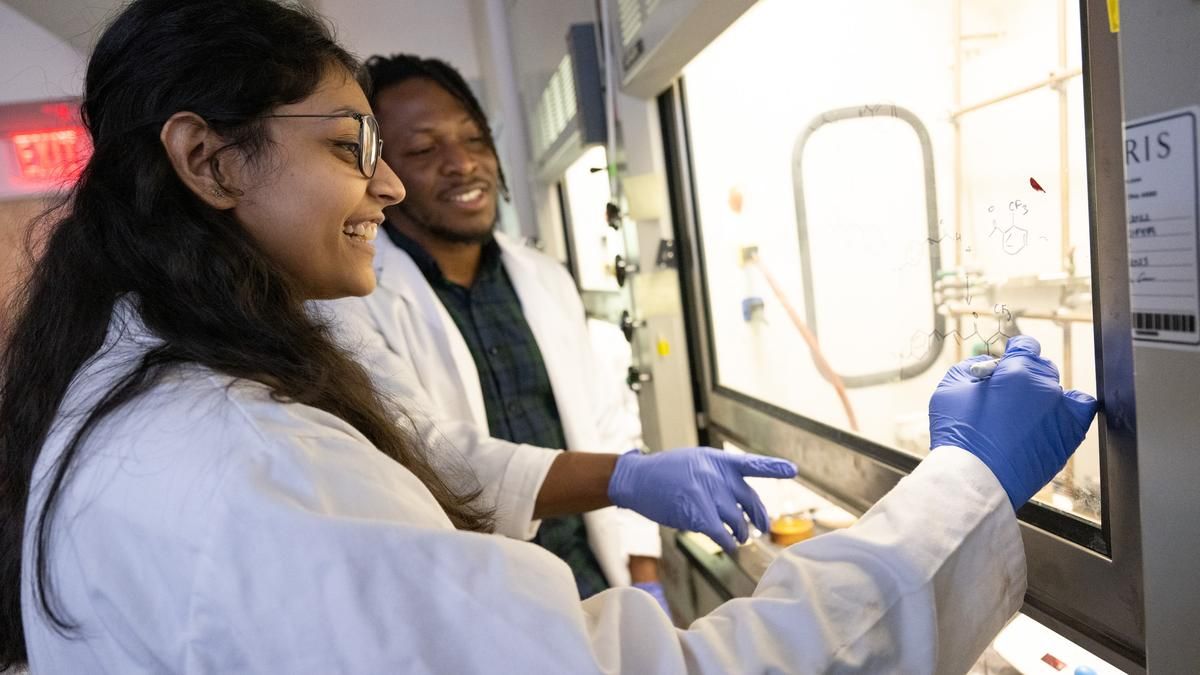 Two students working together in the lab