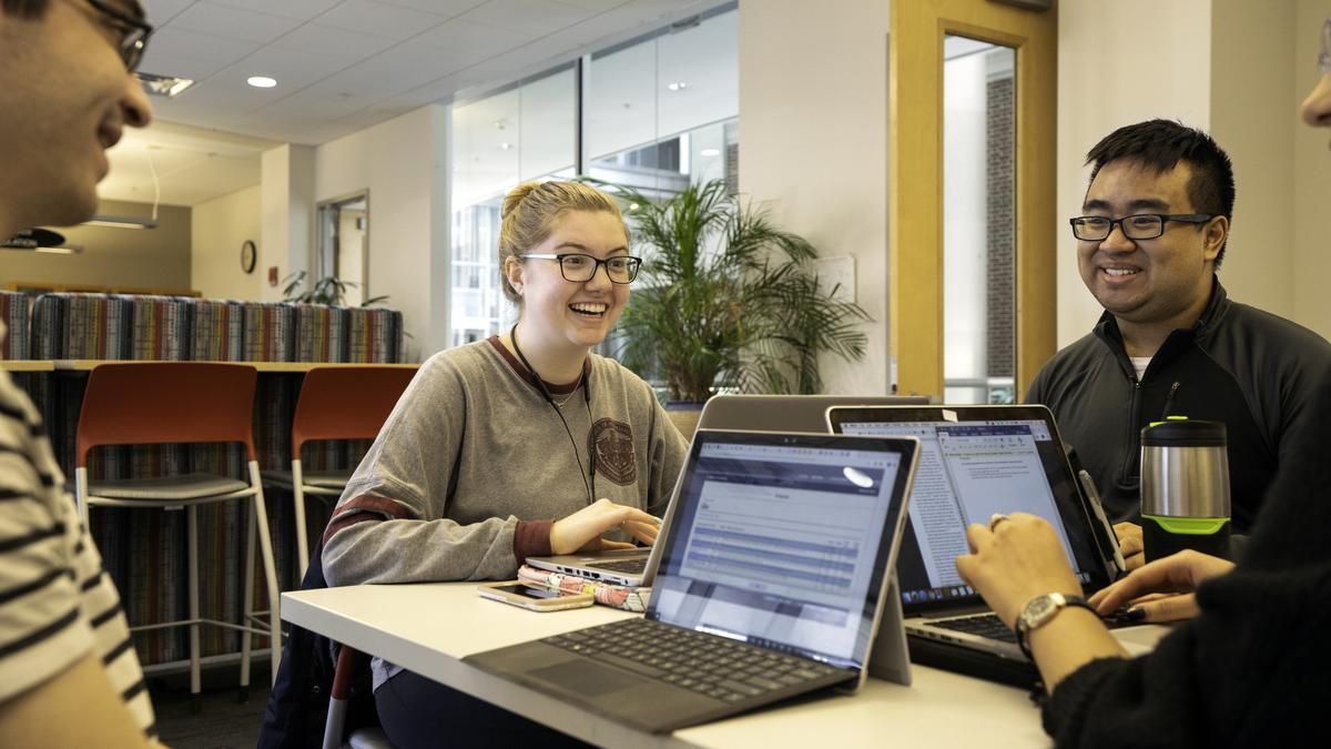 Students in a library studying. 