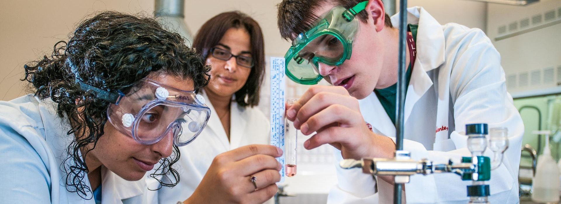 School of Pharmacy