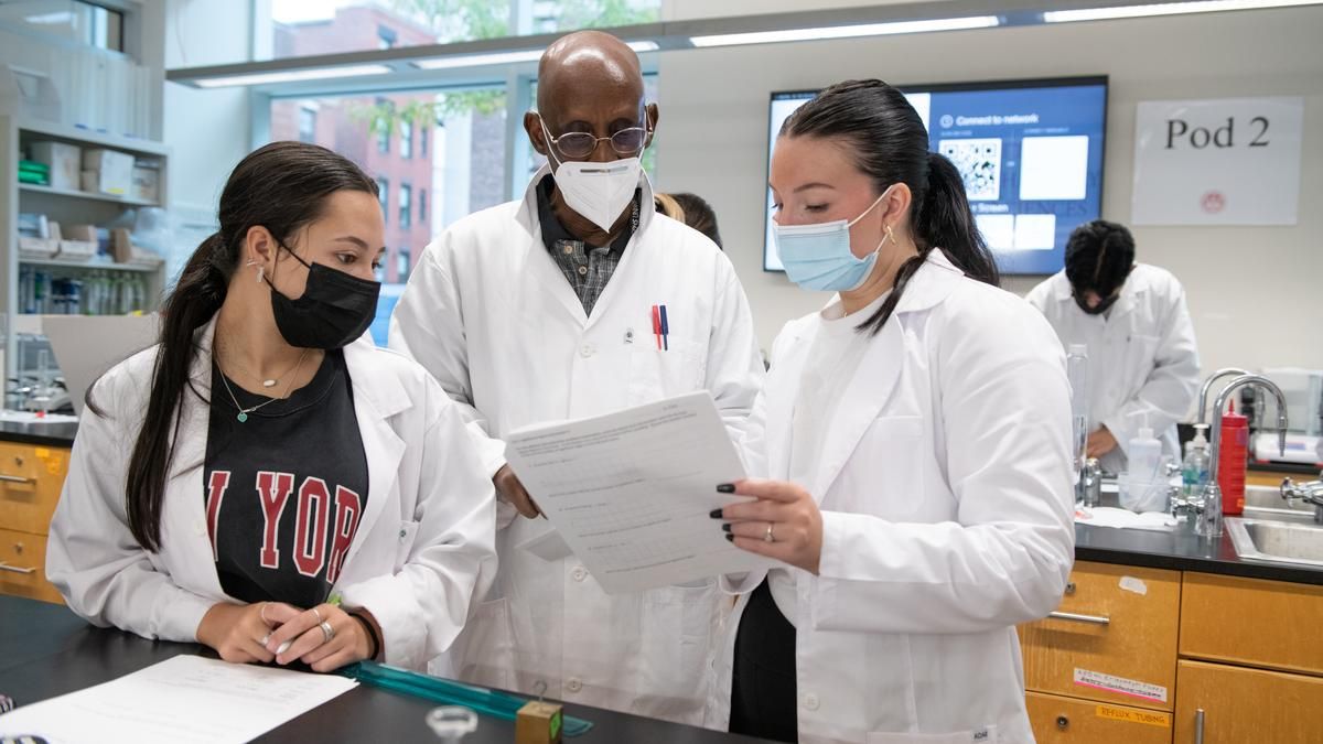 MCPHS students collaborating in lab