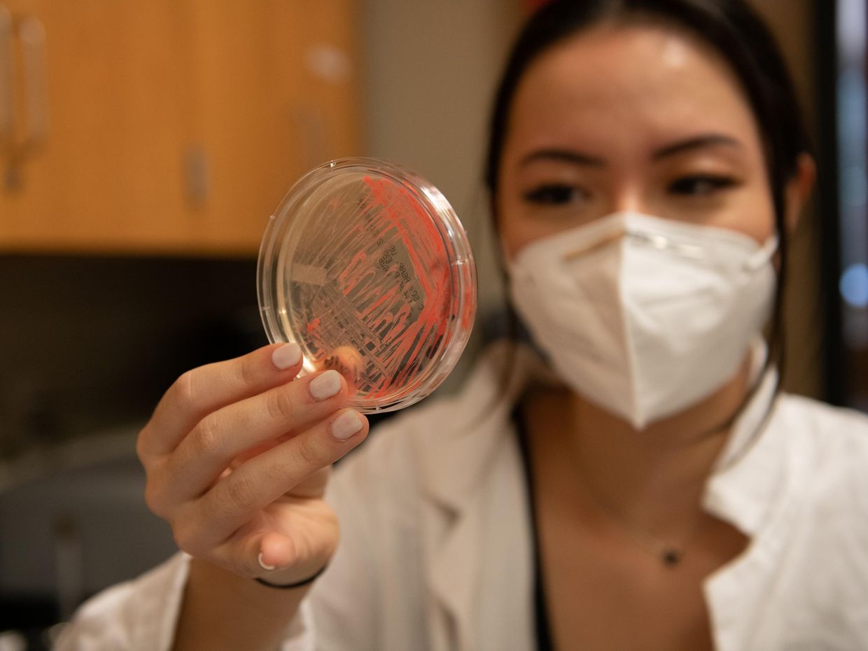 Female student in a lab looking at cells.