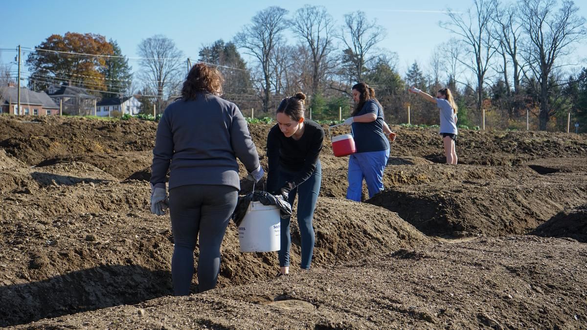 Members of the Health Care Advocates for Sustainability spread winter rye seeds in the NH Food Bank production garden.