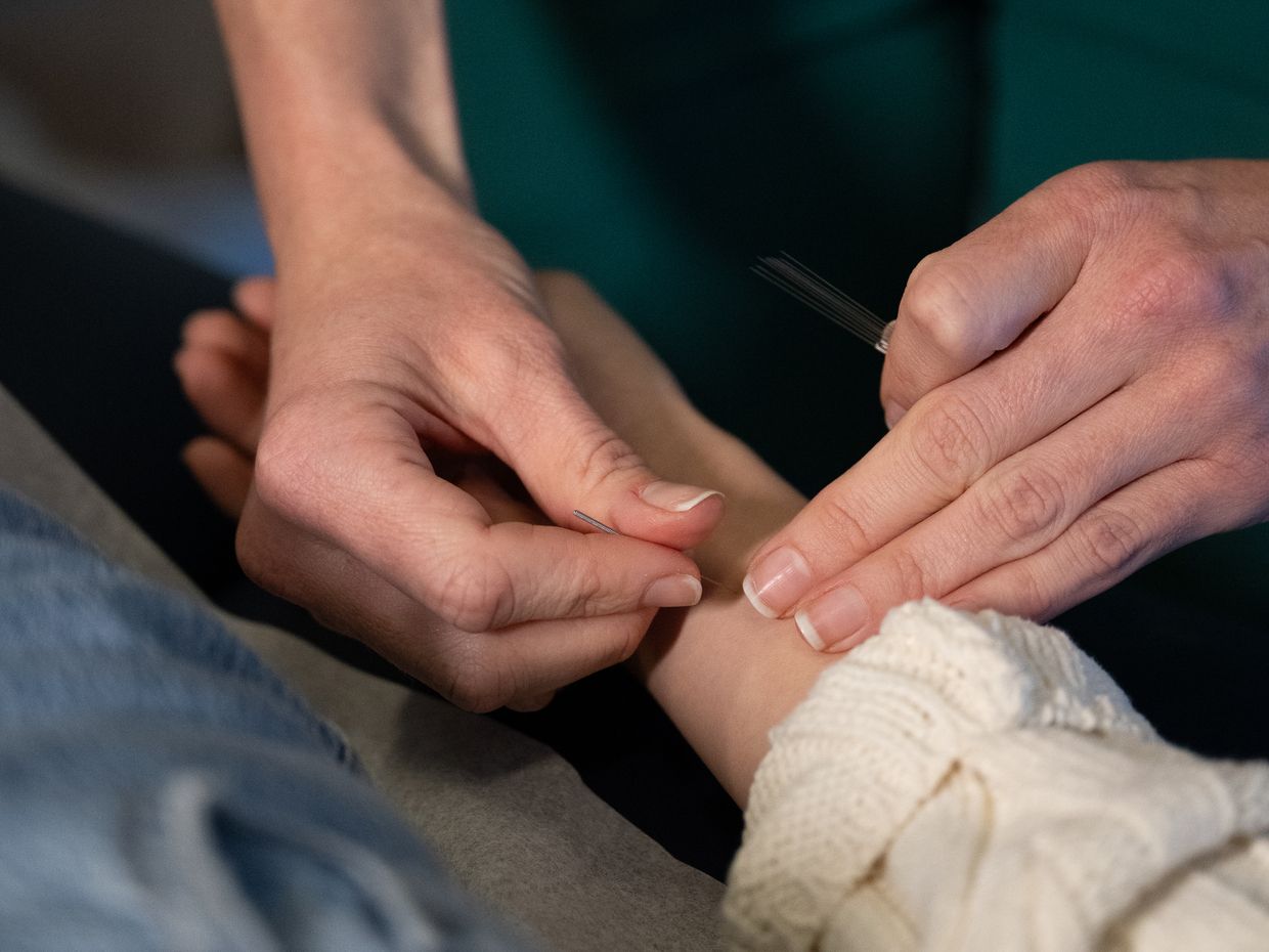Students and faculty collaborating in the NESA acupuncture clinic on the MCPHS Worcester campus. 