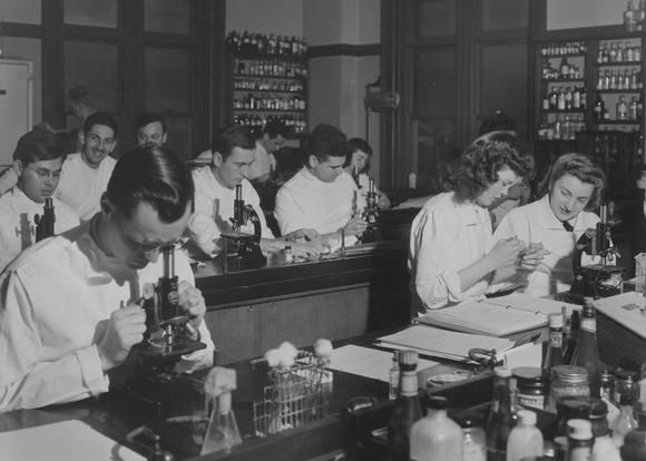 Students in an MCPHS lab.