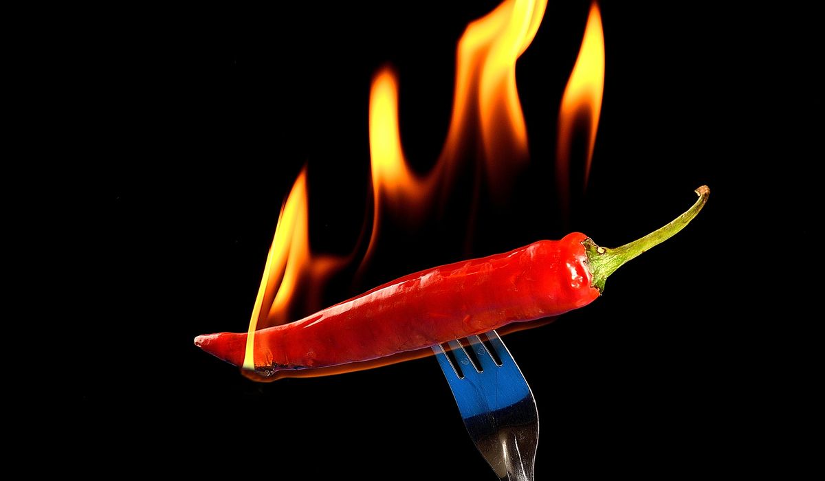 Chile pepper on fire on a fork. 