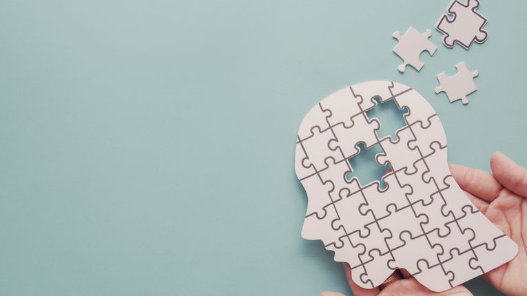 Brain puzzle missing a piece