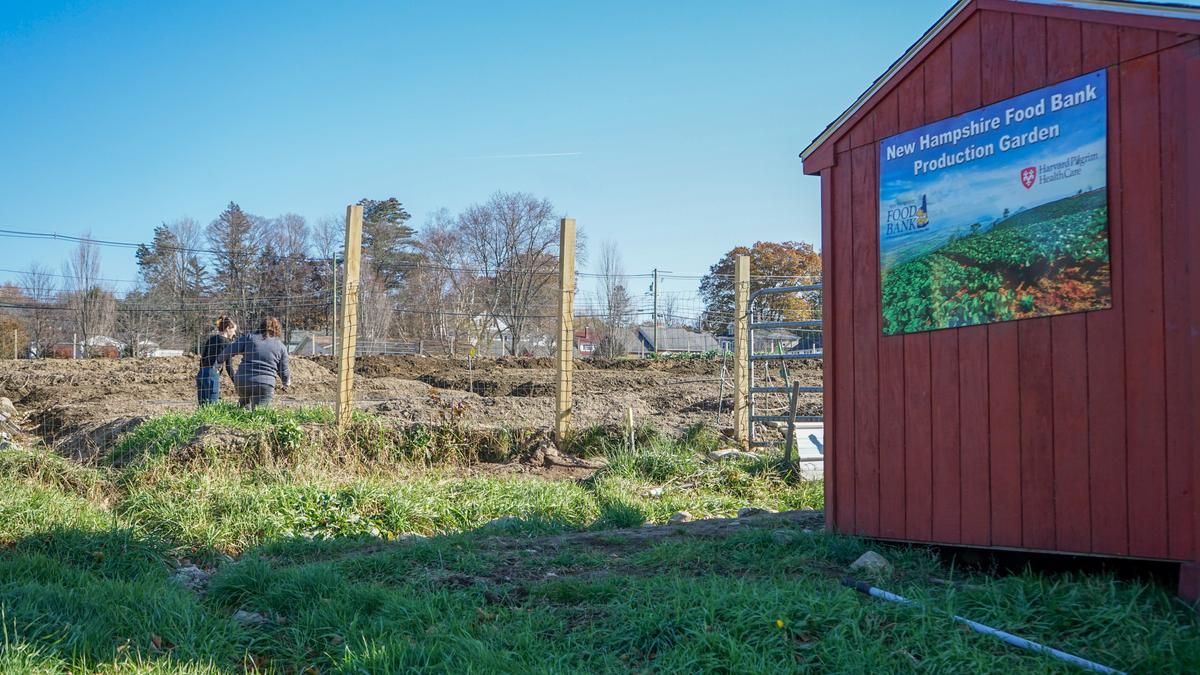 The Health Care Advocates for Sustainability in Manchester prepared the NH Food Bank production garden for winter.