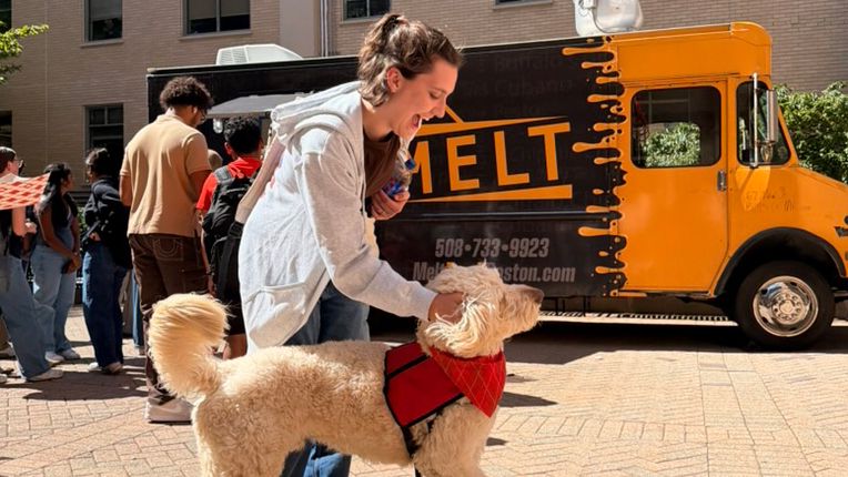 Female pets MCPHS's therapy dog, Woodman.
