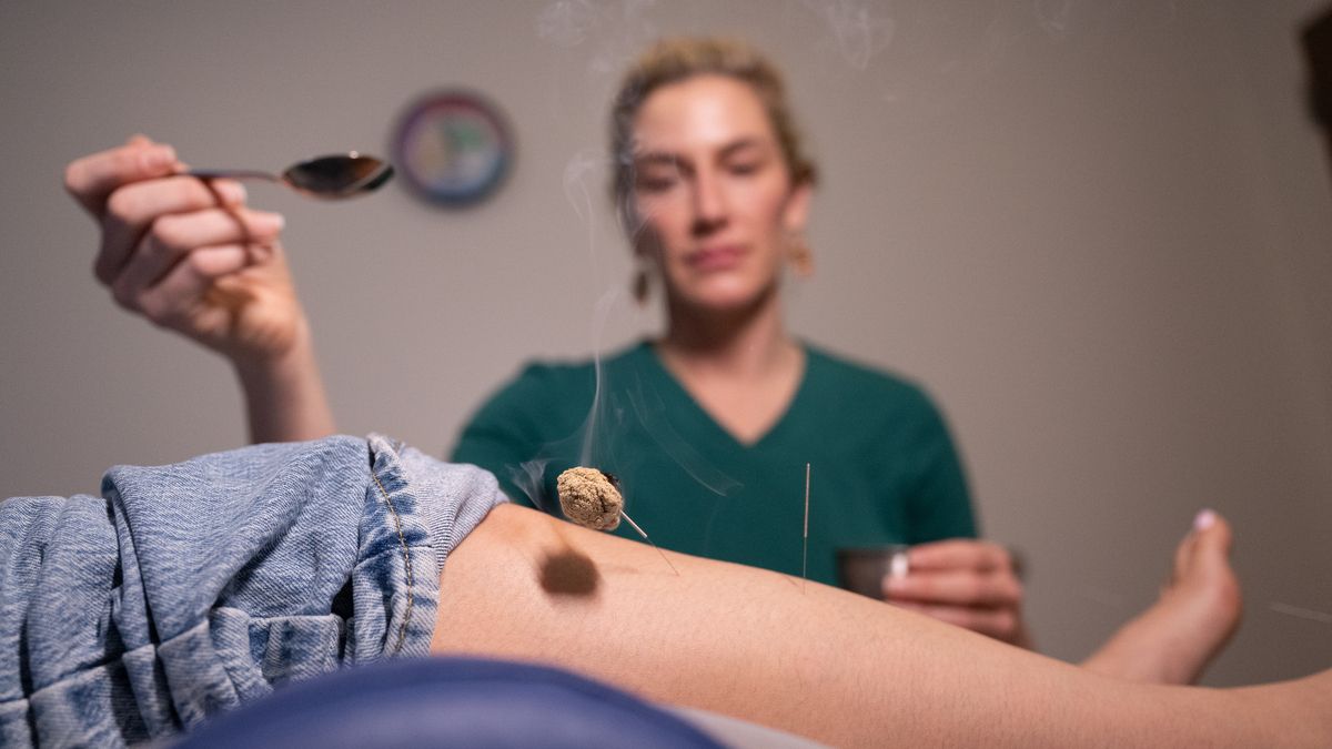 Students and faculty collaborating in the NESA acupuncture clinic on the MCPHS Worcester campus. 