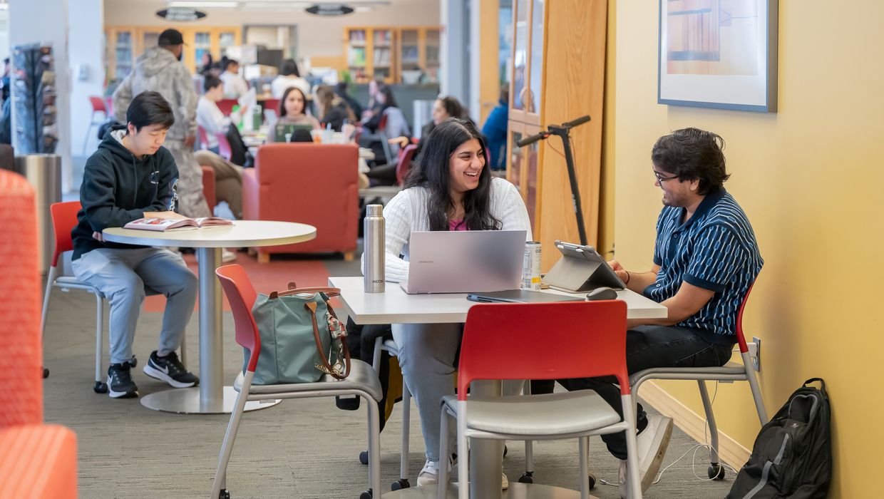 Student sitting in a library with laptop. 
