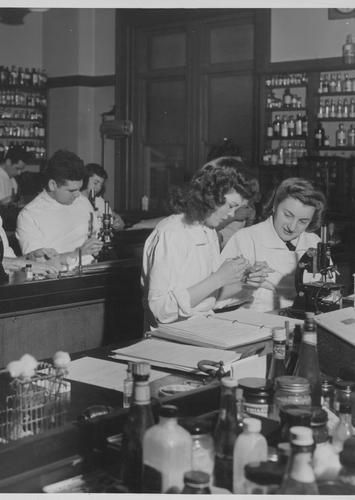 Students in the microbiology lab in 1948.