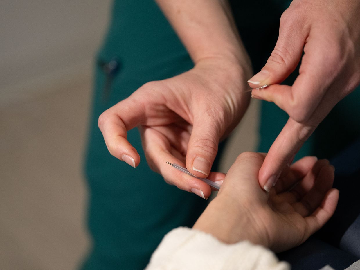 Students and faculty collaborating in the NESA acupuncture clinic on the MCPHS Worcester campus. 