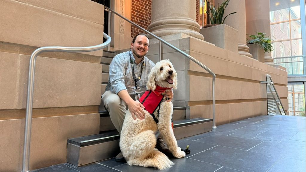 Henry Mallett pets MCPHS's therapy dog, Woodman.