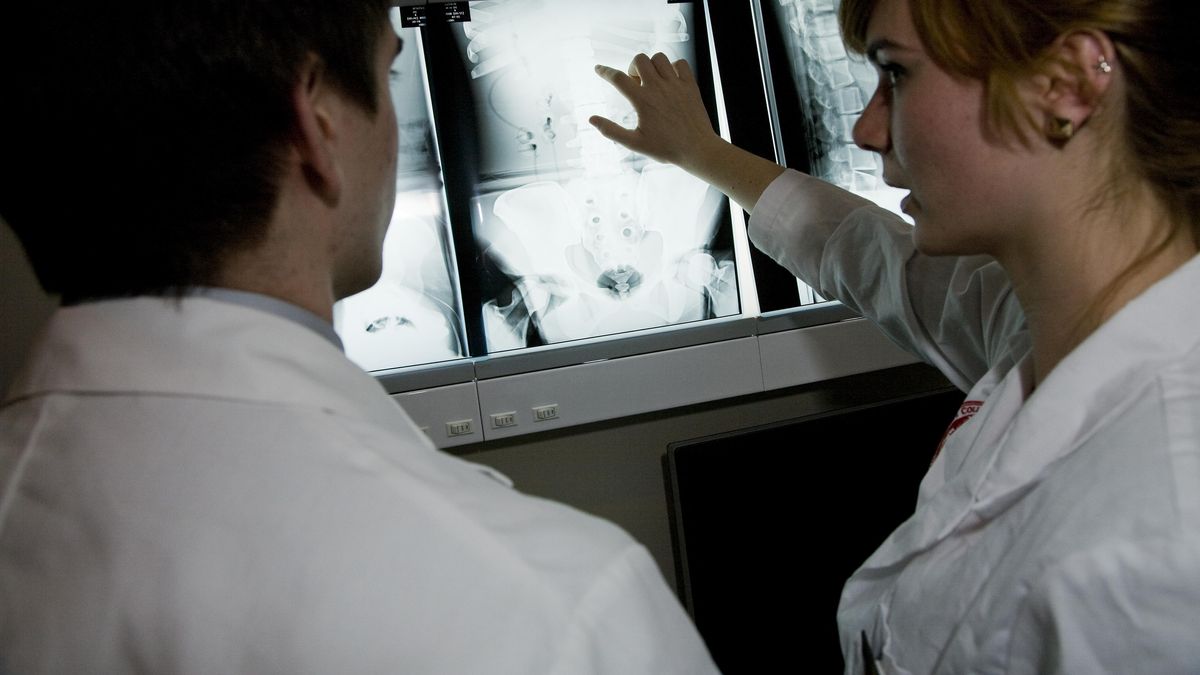 Students examine an x-ray. 