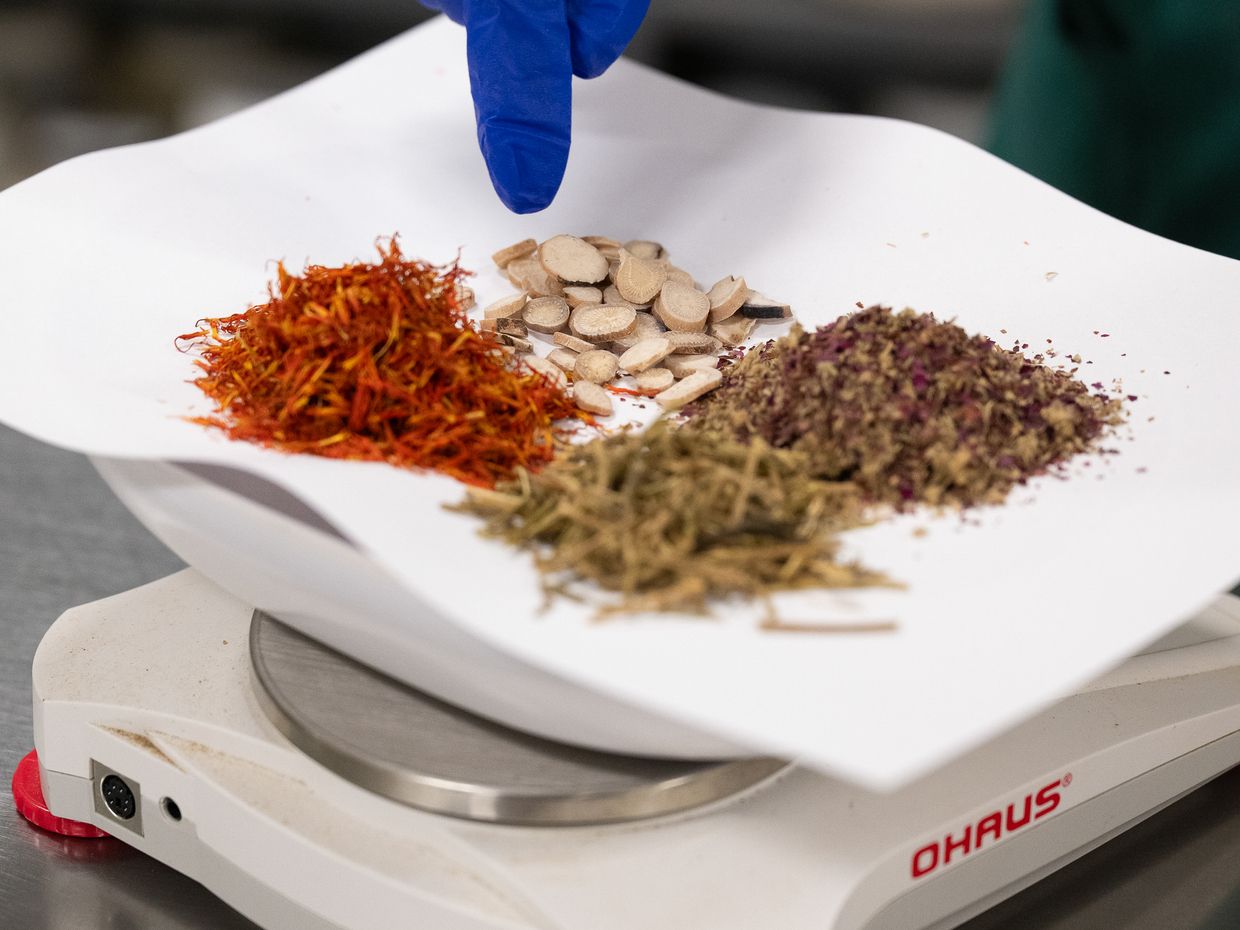Students and faculty collaborating in the NESA acupuncture clinic on the MCPHS Worcester campus. 