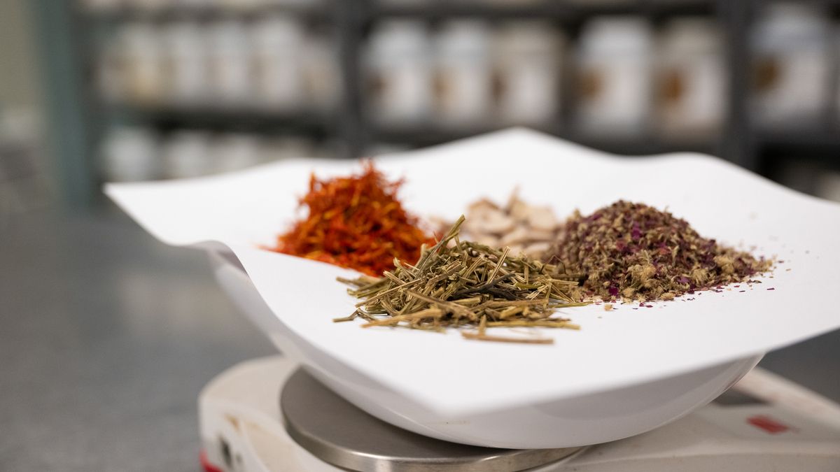 Students and faculty collaborating in the NESA acupuncture clinic on the MCPHS Worcester campus. 
